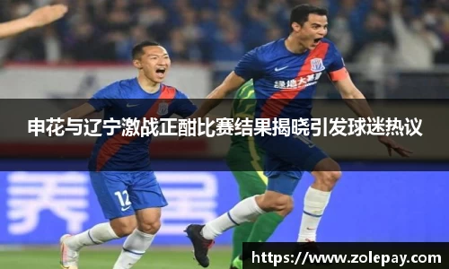 申花与辽宁激战正酣比赛结果揭晓引发球迷热议