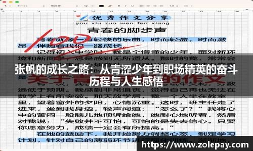 张帆的成长之路：从青涩少年到职场精英的奋斗历程与人生感悟